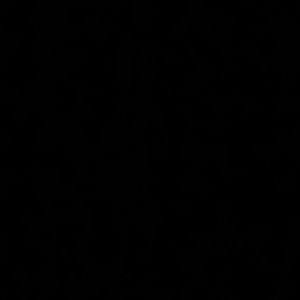 Meet your Posher, Will